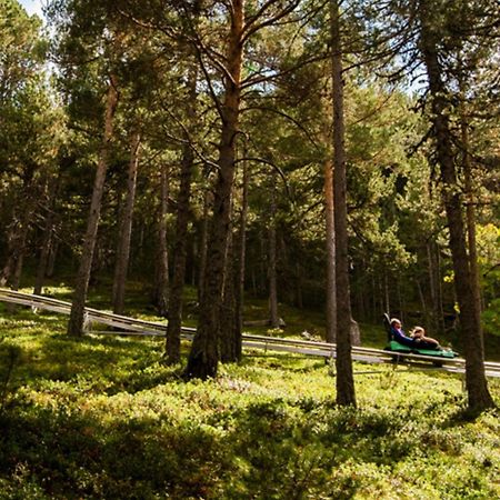 Apartamento Ribasol Vallnord En Arinsal Tintin Экстерьер фото